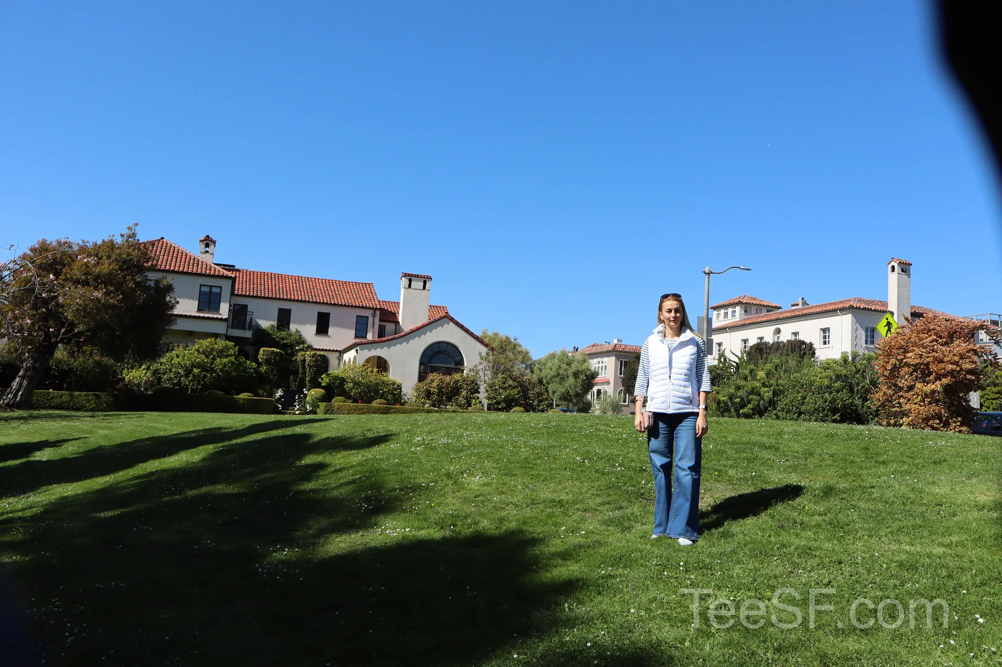 palace Lawn Portrait during a Stripe Sessions 2026 visit in San Francisco.